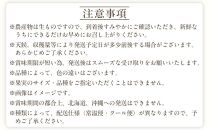 【定期便全3回】産直・厳選フルーツ定期便【TM190】