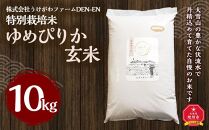 特別栽培米　ゆめぴりか玄米　10kg　令和5年産　新米