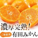 【先行予約】有田育ちのご家庭用 完熟有田みかん10kg【2024年11月上旬より発送】【訳あり】