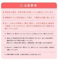 【先行予約】有田育ちのご家庭用 完熟有田みかん10kg【2024年11月上旬より発送】【訳あり】