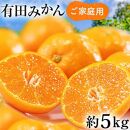 有田育ちの&nbsp;ご家庭用&nbsp;有田みかん&nbsp;5kg&nbsp;農家直送&nbsp;先行予約&nbsp;わけあり【12月上旬～1月中旬発送】