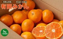 有田育ちの&nbsp;ご家庭用&nbsp;有田みかん&nbsp;5kg&nbsp;農家直送&nbsp;先行予約&nbsp;わけあり【12月上旬～1月中旬発送】