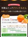 【先行予約】有田育ちのご家庭用 完熟有田みかん10kg【2024年11月上旬より発送】【訳あり】