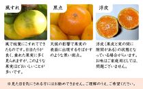 極早生みかん ５kg 大小混合 《ご家庭用》ちょっと訳あり　和歌山県より農園直送！まごころ産直みかん【北海道・沖縄県・一部離島 配送不可】