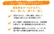 【極早生みかん】5kg&nbsp;混合サイズ（和歌山県海南市下津町産）農園直送【訳あり】［Mg18］
