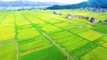 【令和8年産&nbsp;新米予約】南魚沼産こしひかり「秋雪」玄米10kg&nbsp;新潟県の特A地区南魚沼市の美味しいお米【銘柄米&nbsp;ブランド米&nbsp;玄米&nbsp;こしひかり&nbsp;コシヒカリ&nbsp;魚沼産&nbsp;新潟米&nbsp;産地直送&nbsp;お米】【2026年10月上旬より1ヶ月以内に順次発送予定】
