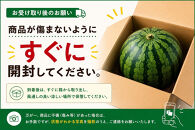 【新潟県南魚沼産】八色原スイカ&nbsp;大玉１玉【西瓜&nbsp;スイカ&nbsp;すいか&nbsp;大玉&nbsp;季節限定&nbsp;果物&nbsp;フルーツ&nbsp;ギフト&nbsp;名産地&nbsp;産地直送&nbsp;シャキシャキ&nbsp;厳選&nbsp;デザート&nbsp;新潟県】【2026年7月下旬発送】【お届け日時指定不可】