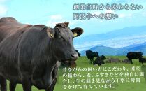 家族で阿波牛ドーンと阿波牛一口ステーキ・厚切り焼肉 約2kg「阿波牛すじ肉1kg付き」