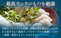 【徳島産「天然鱧」切り身・つくね】冷凍ハモ鍋セット（2～3人前）