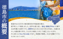 カットわかめ&nbsp;（17g×16pc）鳴門わかめ&nbsp;【海藻&nbsp;魚介類&nbsp;水産&nbsp;海鮮&nbsp;海産&nbsp;詰め合わせ&nbsp;詰合せ&nbsp;&nbsp;小分け&nbsp;味噌汁&nbsp;酢の物&nbsp;サラダ&nbsp;簡単調理&nbsp;手軽&nbsp;人気&nbsp;おすすめ&nbsp;乾燥わかめ&nbsp;海の幸&nbsp;徳島県&nbsp;徳島】