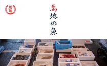 その日のセリの一番魚お届けBOX　2～3人前（下処理済み）