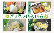 【期間限定】露地すだち約2kg（1箱約1kg×2箱）