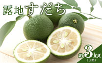【期間限定】露地すだち約3kg（1箱約1kg×3箱）