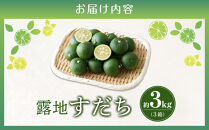 【期間限定】露地すだち約3kg（1箱約1kg×3箱）