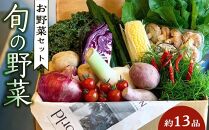 野菜セット 旬の野菜 (約13品)