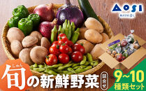 野菜セット&nbsp;旬の野菜&nbsp;（9~10種類)&nbsp;やさい&nbsp;詰合せ&nbsp;新鮮&nbsp;季節の野菜