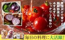 野菜セット&nbsp;旬の野菜&nbsp;（9~10種類)&nbsp;やさい&nbsp;詰合せ&nbsp;新鮮&nbsp;季節の野菜