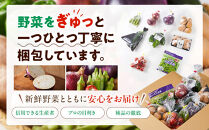 野菜セット&nbsp;旬の野菜&nbsp;（9~10種類)&nbsp;やさい&nbsp;詰合せ&nbsp;新鮮&nbsp;季節の野菜