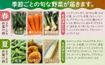 野菜セット&nbsp;旬の野菜&nbsp;（9~10種類)&nbsp;やさい&nbsp;詰合せ&nbsp;新鮮&nbsp;季節の野菜