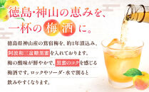 阿波&nbsp;黒蜜梅酒&nbsp;1800ml&nbsp;14度&nbsp;【2020LONDONSAKECHALLENGE最高賞受賞】&nbsp;
