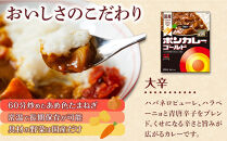 ボンカレーゴールド（大辛）30個【レトルトカレー&nbsp;レトルト&nbsp;カレー&nbsp;非常食&nbsp;保存食&nbsp;長期保存&nbsp;防災食&nbsp;備蓄食&nbsp;災害用品&nbsp;災害用保存食&nbsp;防災グッズ&nbsp;防災用品】