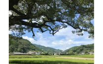 クラフトビール&nbsp;飲み比べ&nbsp;6本&nbsp;セット&nbsp;(350ml×6)