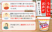 【ザ・ご当地カップ麺】金ちゃんヌードル1箱（12個）&nbsp;&nbsp;カップ麺&nbsp;カップめん&nbsp;カップヌードル&nbsp;インスタント&nbsp;ご当地ラーメン&nbsp;麺&nbsp;めん&nbsp;ラーメン&nbsp;インスタント&nbsp;カップラーメン&nbsp;箱買い&nbsp;人気&nbsp;おすすめ&nbsp;まとめ買い&nbsp;お取り寄せ&nbsp;徳島