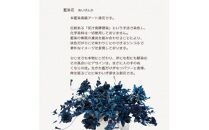 藍染花　花と阿波踊り
