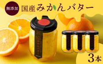 みかんバター 3本入（無添加）アルギットみかん果汁使用 山崎農園 有田川町