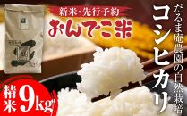 【令和6年産】だるま庵農園の自然栽培コシヒカリ精米9kg「おんでこ米」【2024年10月中旬より順次発送】