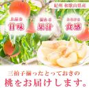 紀州和歌山産の桃 15玉 化粧箱入 【2025年6月下旬から8月上旬ごろ発送】【UT97】