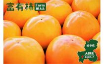 【先行予約：2024年11月中旬～発送】甘くておいしい岐阜の柿「富有柿」2L×12個（約3.3kg）
