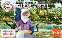 【先行予約】しづちゃんが作る秋月梨 5～6玉入（2.5～3kg） 農業歴70年以上！※2024年9月中旬より順次お届け