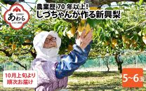 【先行予約】しづちゃんが作る新興梨 5～6玉入（2.5～3kg）農業歴70年以上！ ※2024年10月上旬より順次お届け
