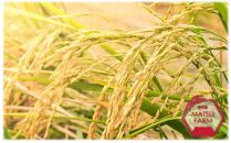 【令和6年産新米予約】【無洗米】南魚沼産コシヒカリ~特別栽培米~（5ｋｇ）