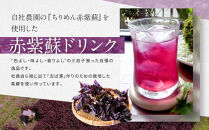 【土井志ば漬本舗】京都大原ちりめん赤紫蘇ジュース&nbsp;1000ml×6本｜赤紫蘇ジュース&nbsp;ドリンク&nbsp;人気セット［&nbsp;ちりめん赤紫蘇&nbsp;しそジュース&nbsp;老舗&nbsp;ストレートで飲める&nbsp;炭酸割り&nbsp;お土産贈答&nbsp;人気&nbsp;おすすめ&nbsp;お取り寄せ&nbsp;通販&nbsp;送料無料&nbsp;ふるさと納税&nbsp;］