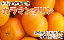 【ご家庭用】【濃厚春みかん】和歌山県有田産カラマンダリン約5kg（サイズおまかせ）2025年4月より順次発送 【TM141】