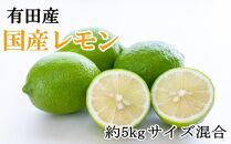 有田産の安心国産レモン約5kg  （サイズ混合）【TM15】
