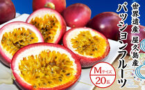 【2026年発送先行受付】絶品パッションフルーツM玉(20玉)“屋久島の恵み”と“愛情”込めて！【パッションフルーツ パッション フルーツ 果物 くだもの お取り寄せ 期間限定 数量限定 人気 おすすめ 鹿児島県 屋久島町 NP19】