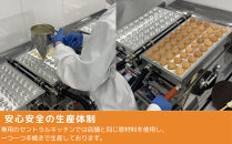 【京都すずなり屋】冷凍ベビーカステラ プレーン12個入り×6袋｜ベビーカステラ専門 人気店 冷凍［ 京都 ベビーカステラ専門店 カステラ 安心安全 もっちり ふんわり 常温解凍 人気 おすすめ お菓子 焼菓子 安心 安全 手焼きスイーツ 冷凍スイーツ ギフト プレゼント お取り寄せ 通販 送料無料 ふるさと納税］