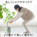 【あしこし】続けられることにこだわったエクササイズ器具