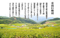 訳あり&nbsp;それでも&nbsp;巨峰&nbsp;&nbsp;2kg&nbsp;(&nbsp;3房&nbsp;～&nbsp;6房&nbsp;)&nbsp;和歌山県産&nbsp;&nbsp;【みかんの会】