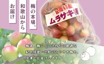 冷凍ムラサキ梅 小粒 ２kg 【ロゼワイン色の梅ジュースが作れます】 梅酒 食品