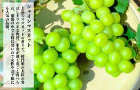 シャインマスカット&nbsp;有田巨峰村&nbsp;2kg&nbsp;(&nbsp;2房&nbsp;～&nbsp;6房&nbsp;)&nbsp;和歌山県産&nbsp;&nbsp;【みかんの会】