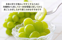 シャインマスカット&nbsp;有田巨峰村&nbsp;2kg&nbsp;(&nbsp;2房&nbsp;～&nbsp;6房&nbsp;)&nbsp;和歌山県産&nbsp;&nbsp;【みかんの会】