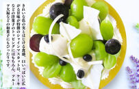 シャインマスカット&nbsp;有田巨峰村&nbsp;1.2kg&nbsp;(&nbsp;1房&nbsp;～&nbsp;3房&nbsp;)&nbsp;和歌山県産&nbsp;&nbsp;【みかんの会】