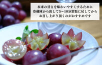 巨峰&nbsp;種なし&nbsp;有田巨峰村の巨峰&nbsp;3kg(&nbsp;5房&nbsp;～&nbsp;9房&nbsp;)&nbsp;和歌山県産&nbsp;【みかんの会】