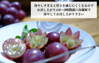 訳あり&nbsp;それでも&nbsp;巨峰&nbsp;&nbsp;3kg&nbsp;(&nbsp;5房&nbsp;～&nbsp;9房&nbsp;)&nbsp;和歌山県産&nbsp;&nbsp;【みかんの会】