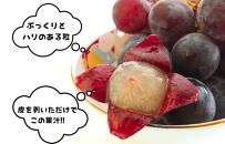 訳あり&nbsp;それでも&nbsp;巨峰&nbsp;&nbsp;3kg&nbsp;(&nbsp;5房&nbsp;～&nbsp;9房&nbsp;)&nbsp;和歌山県産&nbsp;&nbsp;【みかんの会】