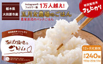 【12か月定期便】農家直送のパックごはん☆五月女農場のごはん（150ｇ×20個）